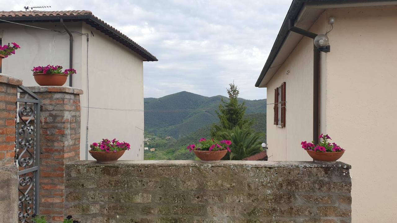 Casato Clavelli 1 *